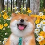 Avatar of Maryam Hussain