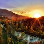 Avatar of Nasir Zaman